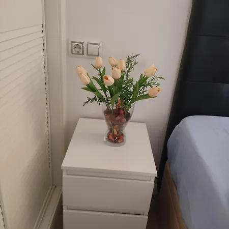 Senda Del Mar Apartment Gijon