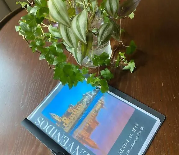 Sendamar By Silastur * Хихон